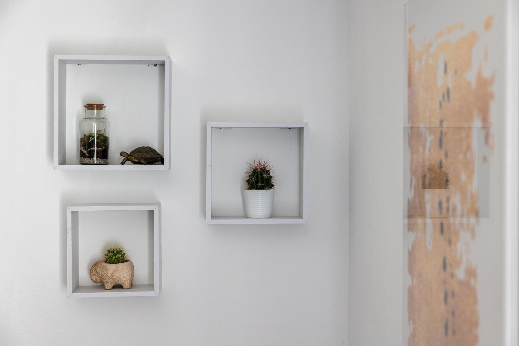 Dubrovnik Domus Apartment Eksteriør bilde